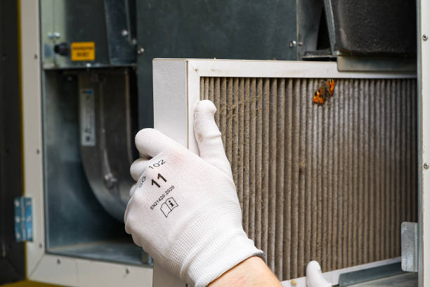 Best Ductwork Cleaning Services  in Mesquite, NV