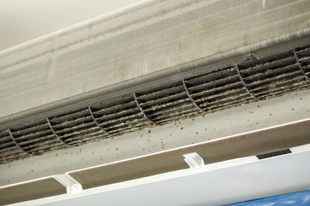 Best HVAC Air Duct Cleaning  in Mesquite, NV